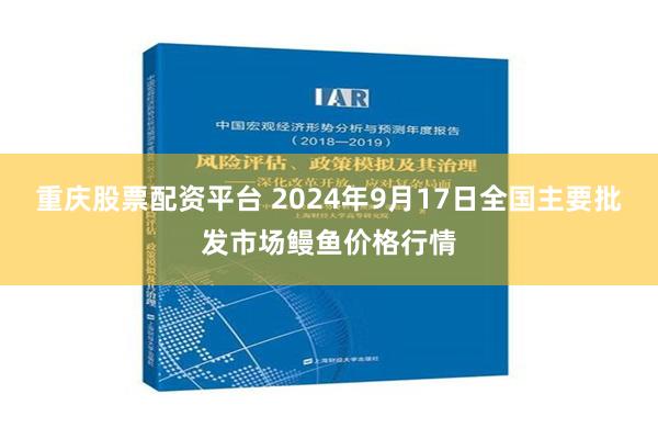 重庆股票配资平台 2024年9月17日全国主要批发市场鳗鱼价格行情