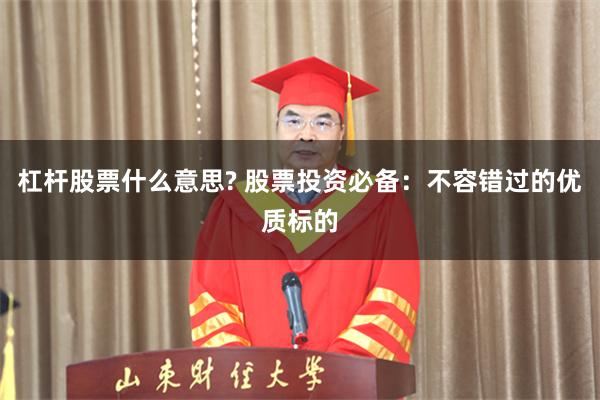 杠杆股票什么意思? 股票投资必备：不容错过的优质标的