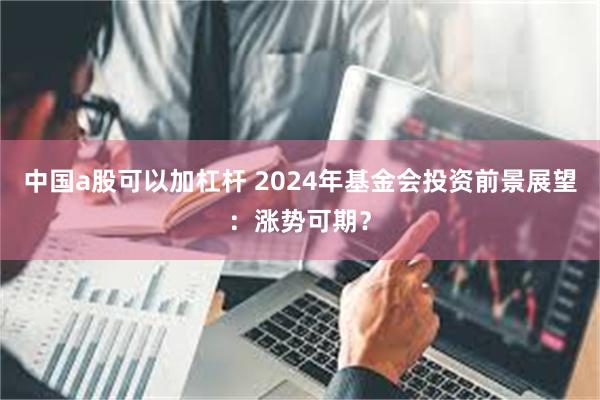 中国a股可以加杠杆 2024年基金会投资前景展望：涨势可期？