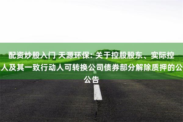 配资炒股入门 天源环保: 关于控股股东、实际控制人及其一致行动人可转换公司债券部分解除质押的公告