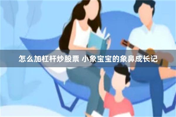 怎么加杠杆炒股票 小象宝宝的象鼻成长记