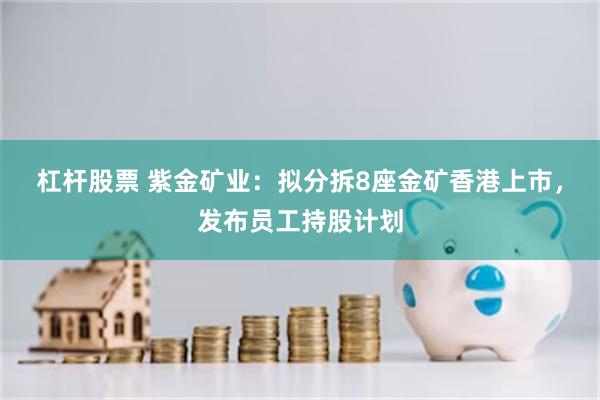 杠杆股票 紫金矿业：拟分拆8座金矿香港上市，发布员工持股计划