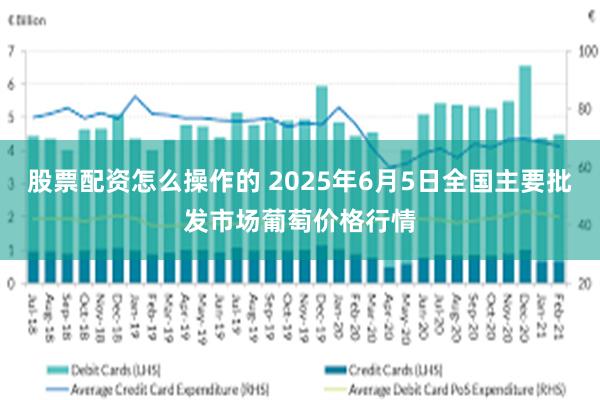 股票配资怎么操作的 2025年6月5日全国主要批发市场葡萄价格行情