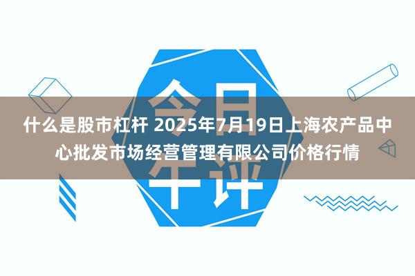 什么是股市杠杆 2025年7月19日上海农产品中心批发市场经营管理有限公司价格行情
