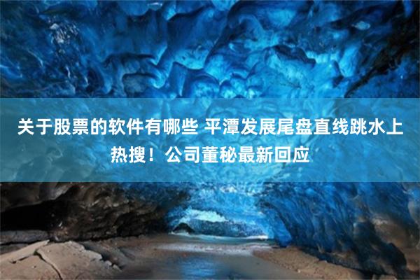 关于股票的软件有哪些 平潭发展尾盘直线跳水上热搜！公司董秘最新回应