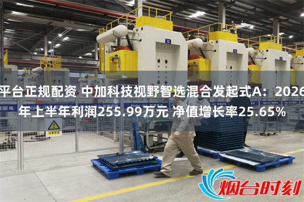 平台正规配资 中加科技视野智选混合发起式A：2026年上半年利润255.99万元 净值增长率25.65%
