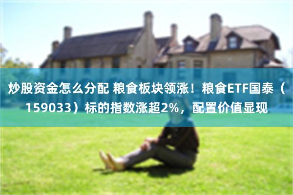 炒股资金怎么分配 粮食板块领涨！粮食ETF国泰（159033）标的指数涨超2%，配置价值显现